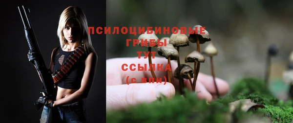 PSILOCYBIN Баксан