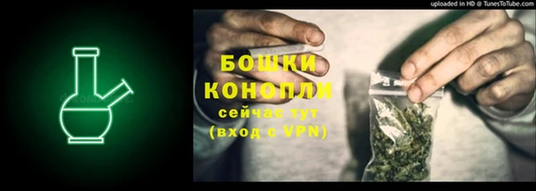 PSILOCYBIN Баксан