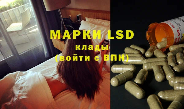 PSILOCYBIN Баксан