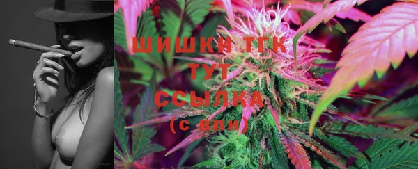 PSILOCYBIN Баксан