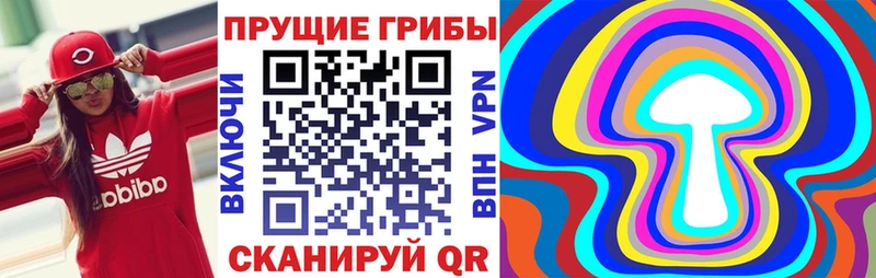 Галлюциногенные грибы Psilocybe  Облучье 